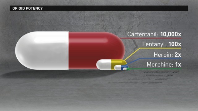 opioid-potency