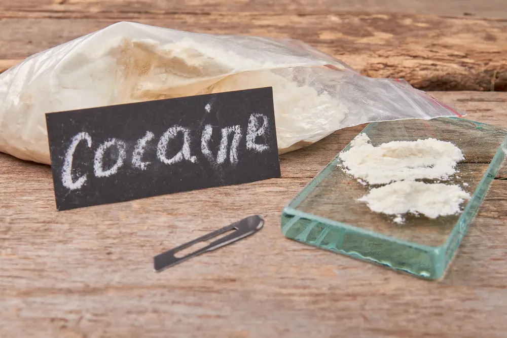 Cocaine Effects: What Does Cocaine Do To Your Mind and Body?