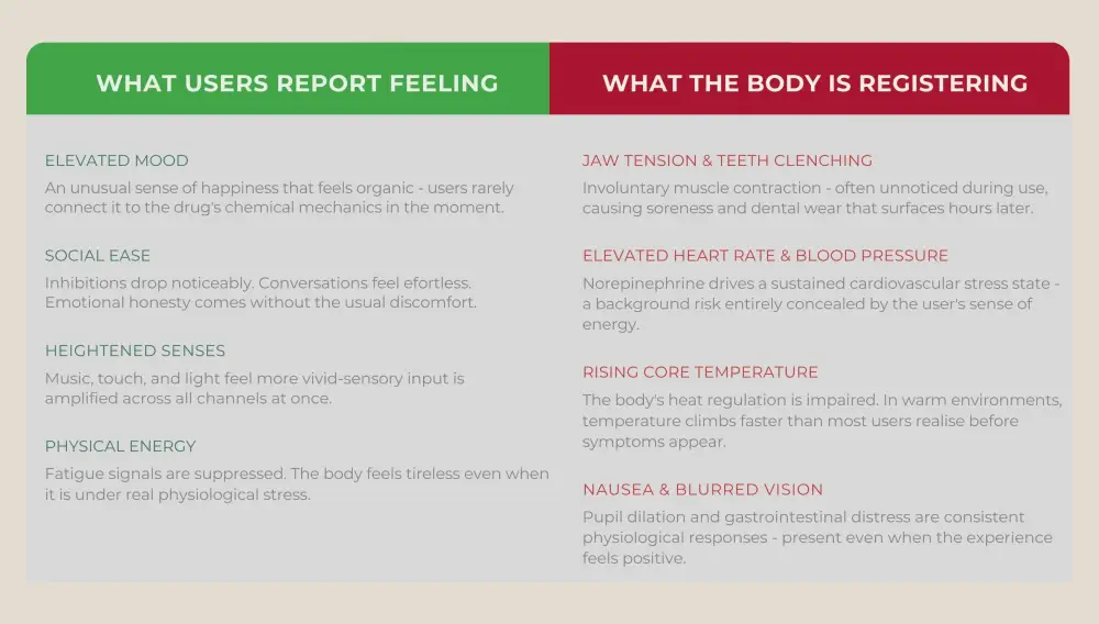MDMA symptoms