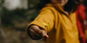 What is the Difference Between Colace and Miralax?