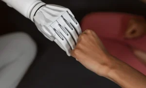 Quaaludes Effect on Body and Brain