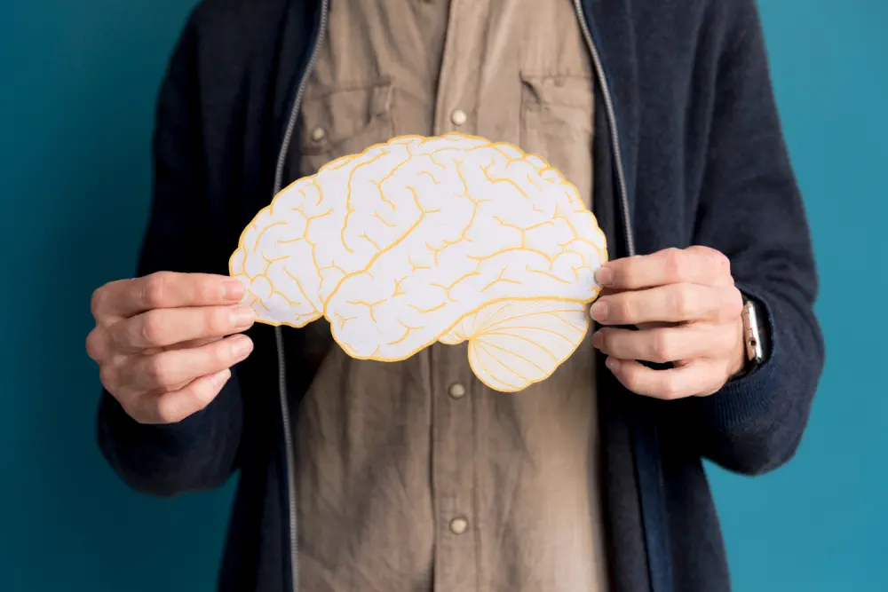 Person holding a brain cutout, representing cognitive health and function