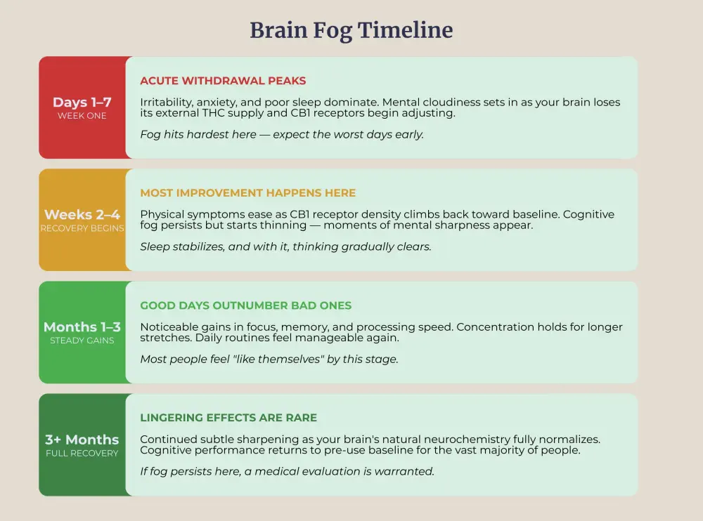 Brain fog recovery timeline